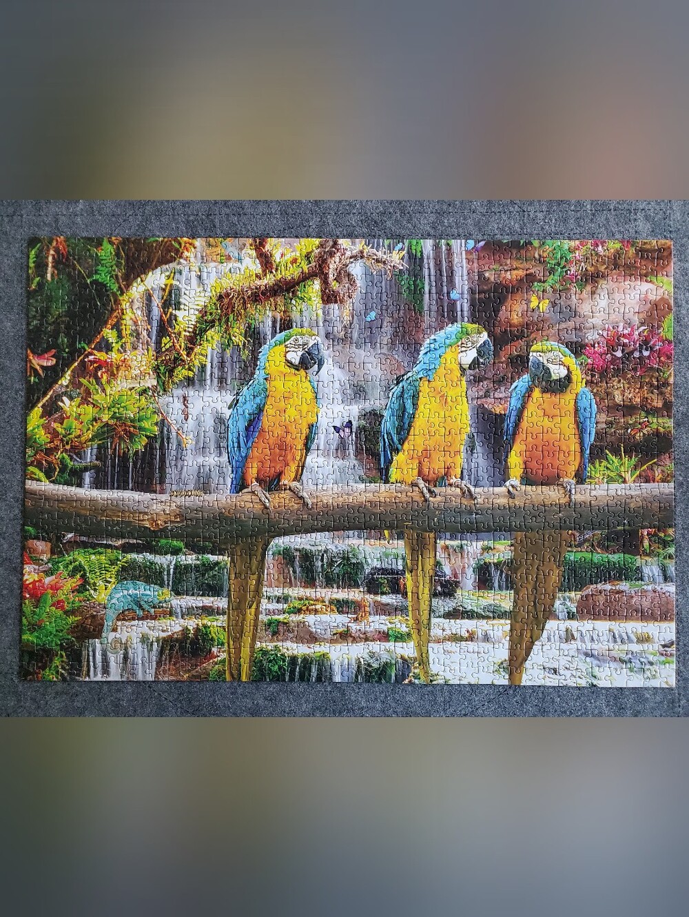 Parrot Puzzle - Picture 3 of 3